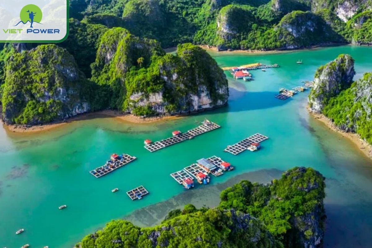 10+ Halong Bay Attractions & Hidden Gems: Vung Vieng Floating Village