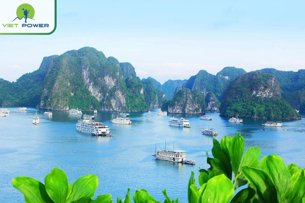 10+ Halong Bay Attractions & Hidden Gems: Ti Top Island