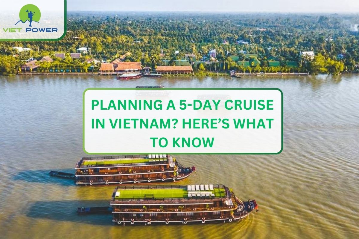 Planning a 5-Day Cruise in Vietnam? Here’s What to Know