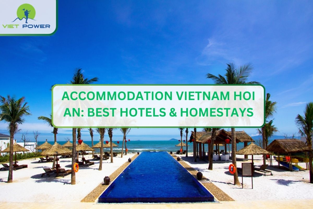 Accommodation Vietnam Hoi An: Best Hotels & Homestays