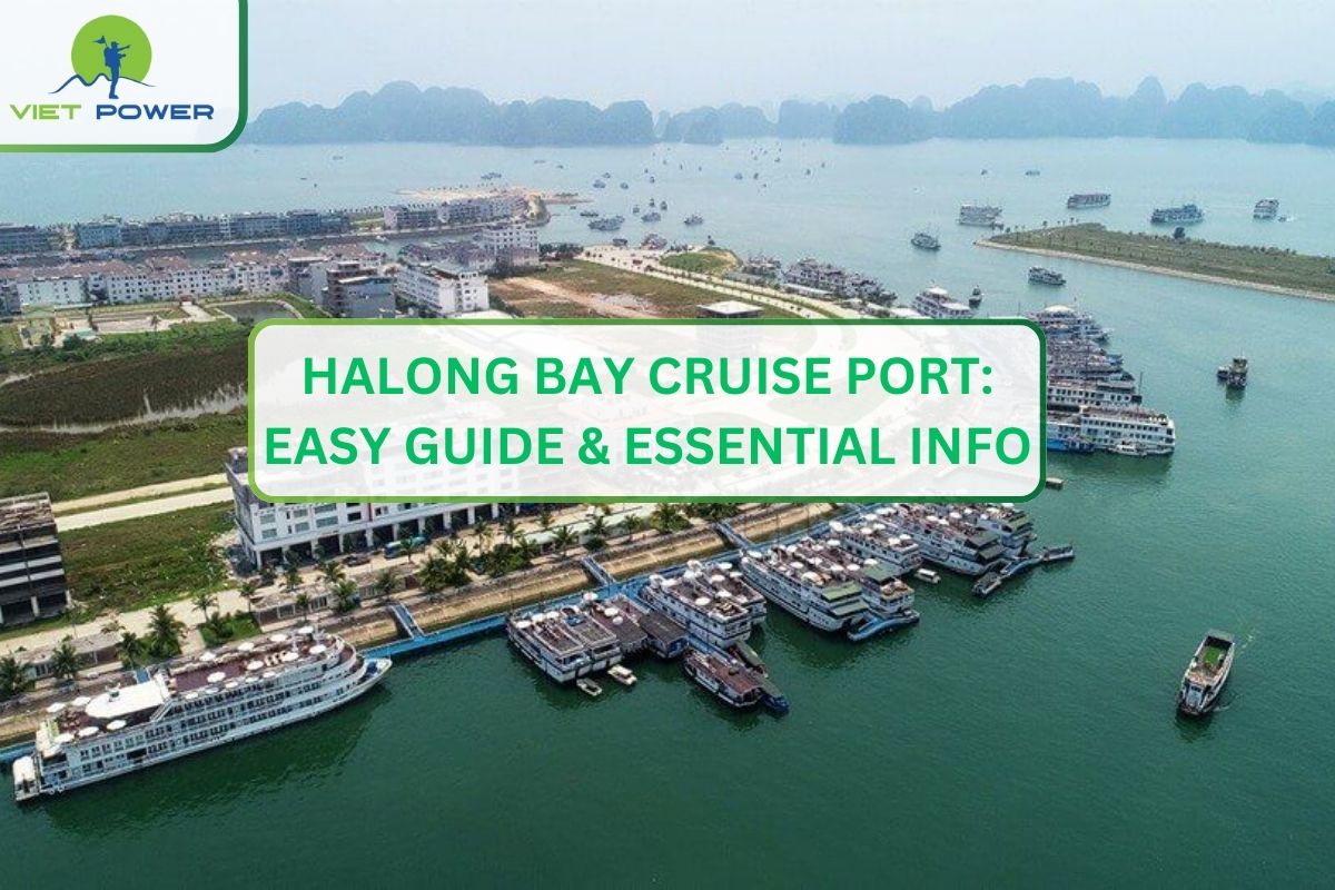 Halong Bay Cruise Port: Easy Guide & Essential Info