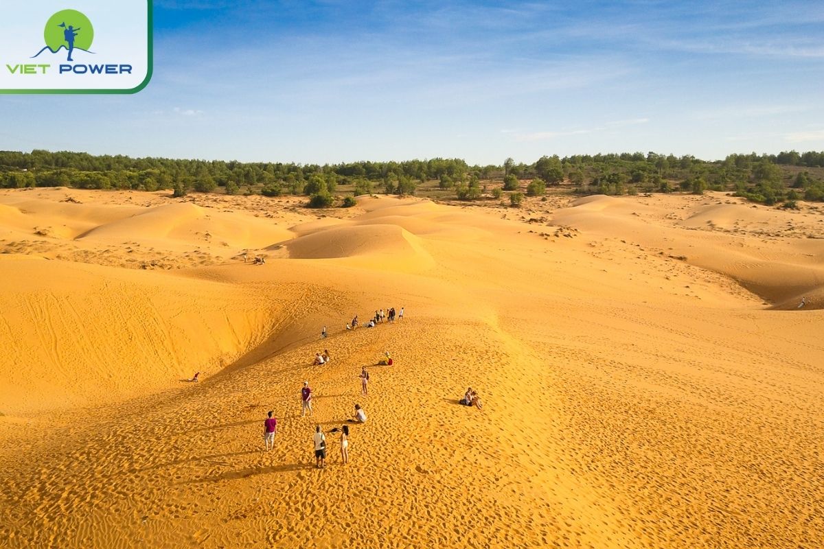 In Top 5 Vietnam Natural Beauty Can't Miss on Your Trip, Mui Ne Sand Dunes