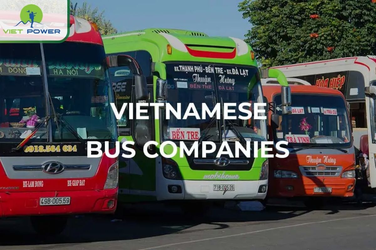 Vietnam Travel Bus Guide: Tips for Smart Travelers: Bus Companies.