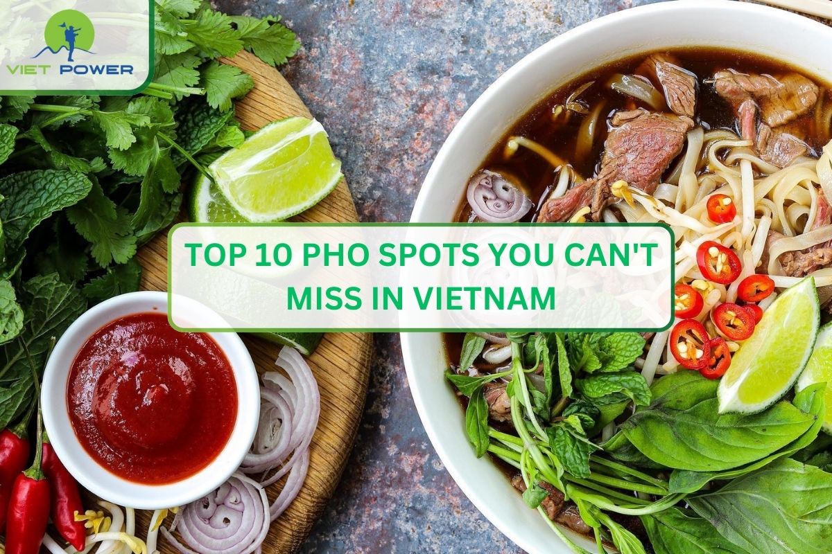 Top 10 Pho Spots You Can