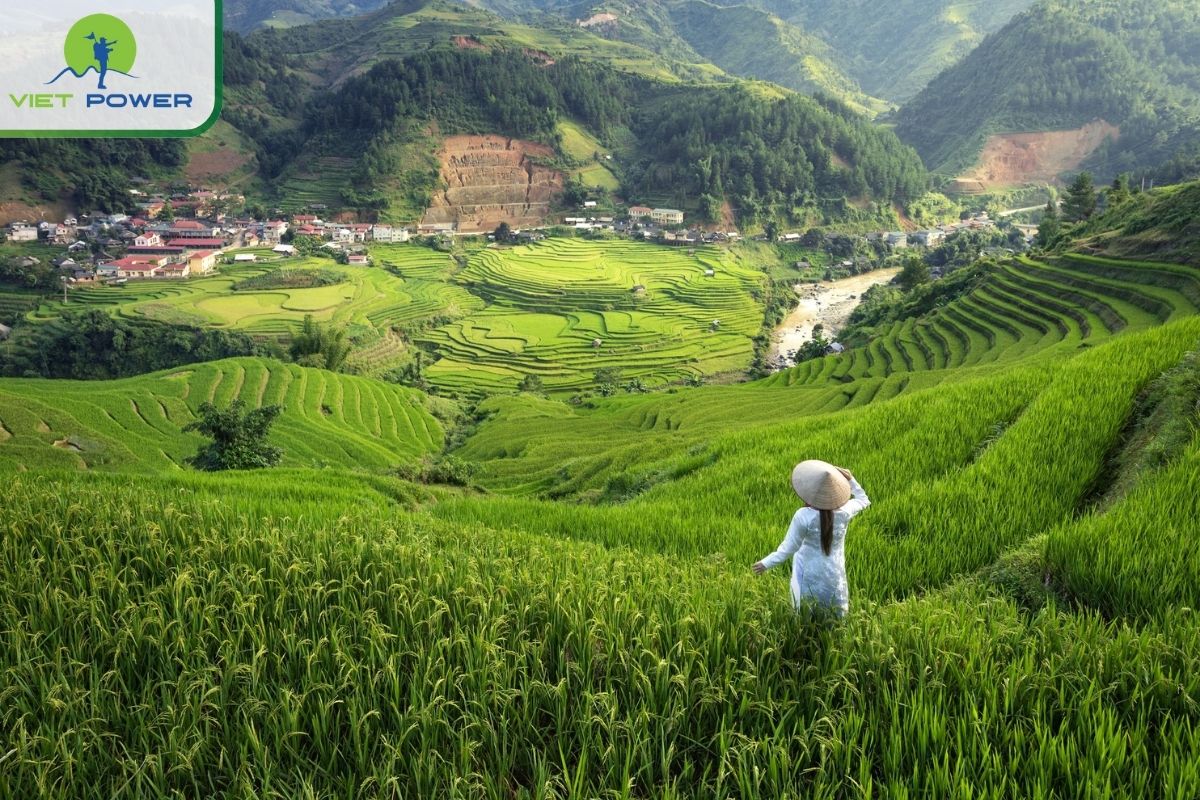 Best time to visit Vietnam & Avoid Rain: North Vietnam