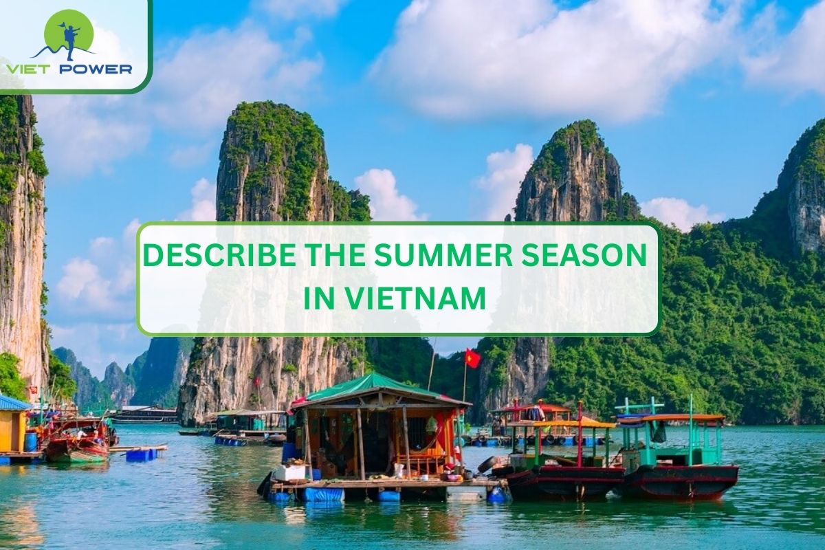 Describe the Summer Season in Vietnam