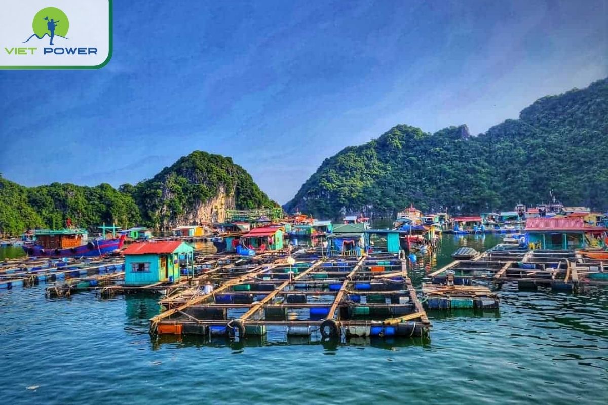 2-day Ha Long Bay itinerary.