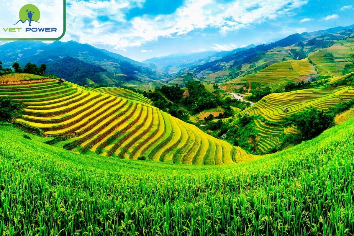 Diverse landscapes in Vietnam.