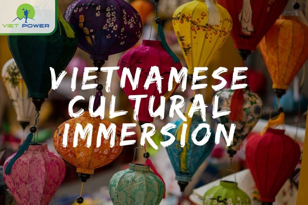 Reasons to Hire a Local Tour Guide in Vietnam: Cultural Immersion.