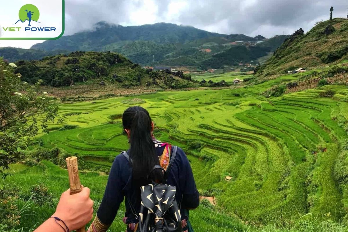 Discover the Most Beautiful Places in Vietnam for 2024: Sapa