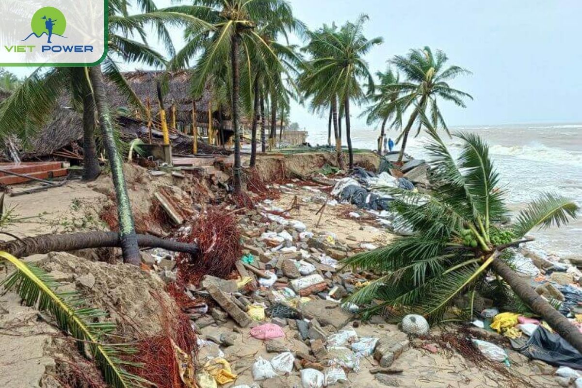 Understanding Vietnam's storms