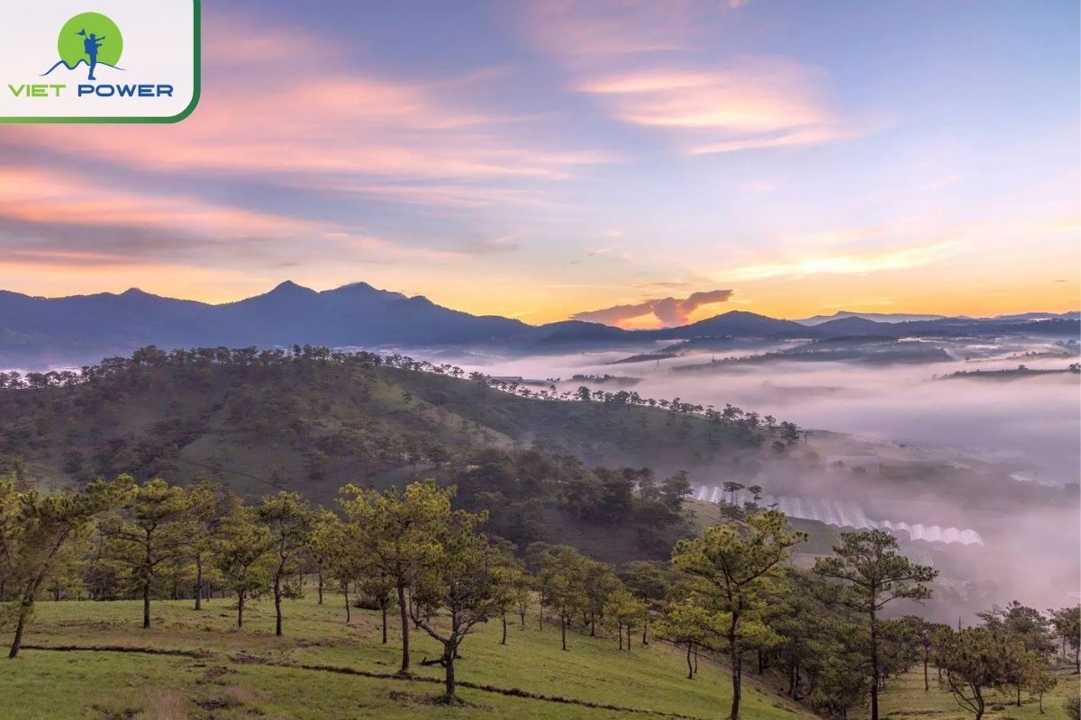 Top 8 Dalat Things To See For 2024: Valley of Love