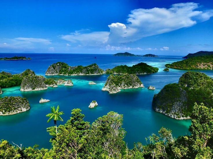 Discovering  Vietnam in 9 Days from the south to the north