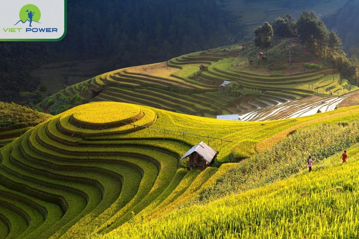 Why visit North Vietnam in February?