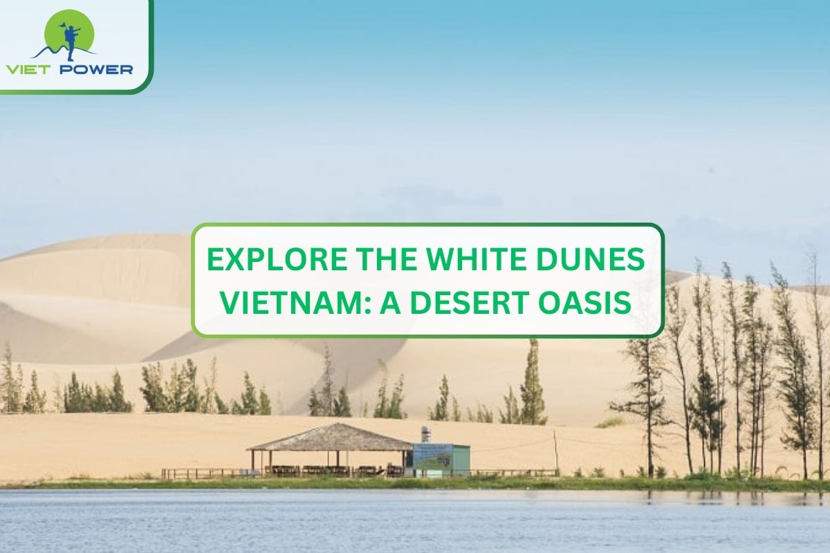 Explore the White Dunes Vietnam: A Desert Oasis