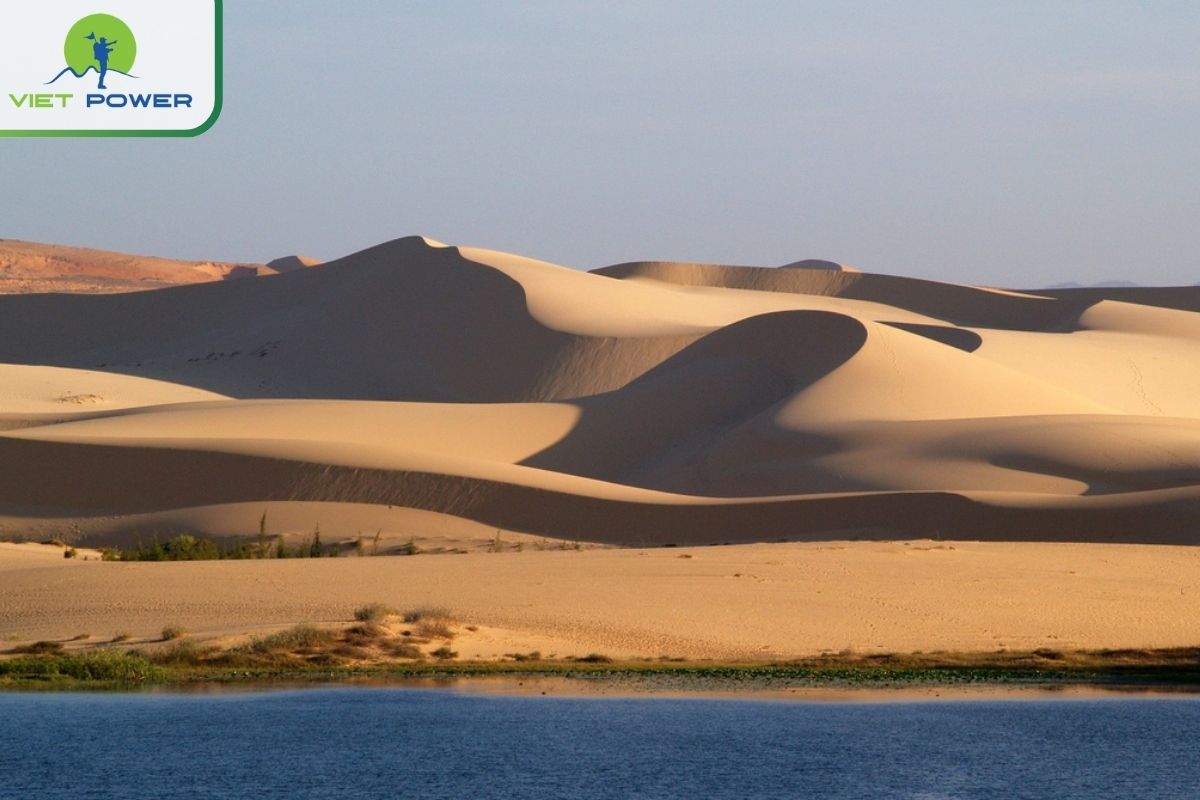 Explore the White Dunes Vietnam: A Desert Oasis: Experiencing the White Sand Dunes Vietnam.