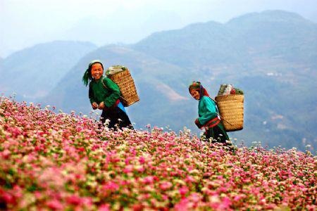 6-day tour of Northern Vietnam