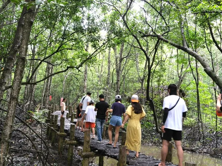 Immerse in Nature: A Day Tour of Can Gio Mangrove Biosphere