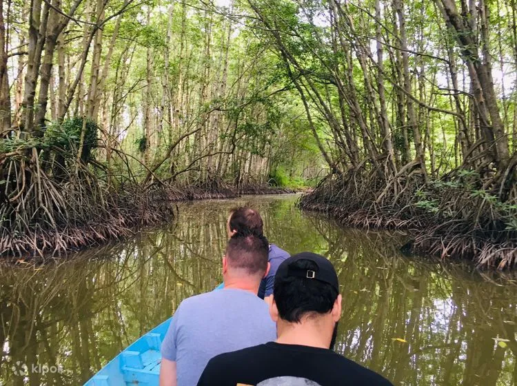 Immerse in Nature: A Day Tour of Can Gio Mangrove Biosphere