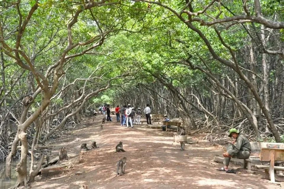 Immerse in Nature: A Day Tour of Can Gio Mangrove Biosphere