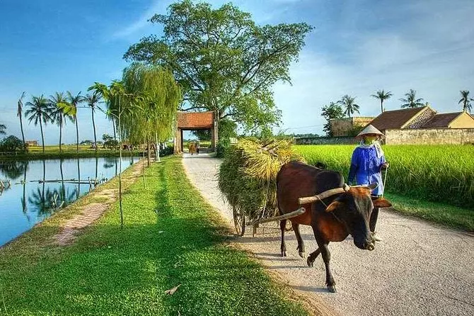 Duong Lam Ancient Village One Day Tour