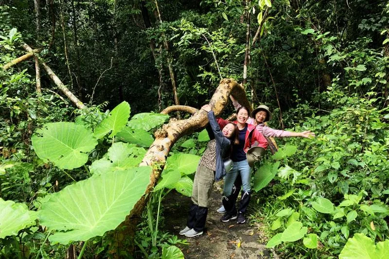 Full-Day Trekking Adventure in Nam Cat Tien National Park