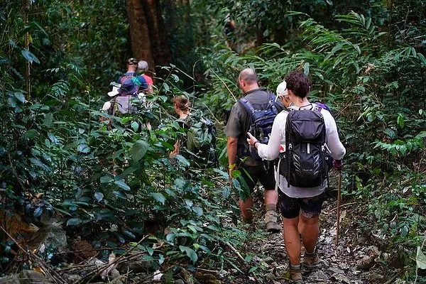 Full-Day Trekking Adventure in Nam Cat Tien National Park