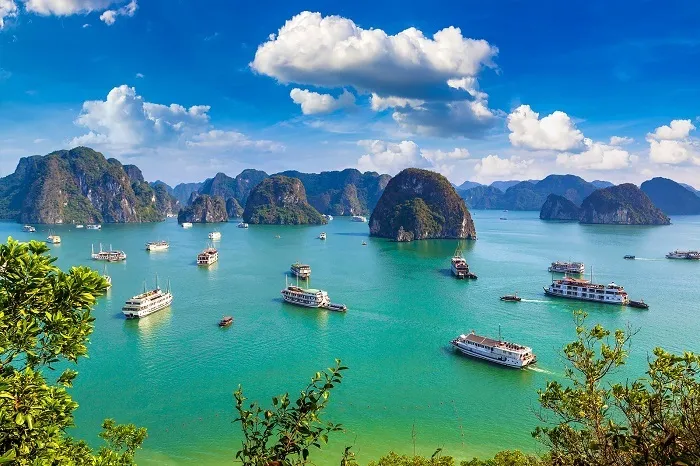 Three Days and Two Nights Exploring Ha Long Bay