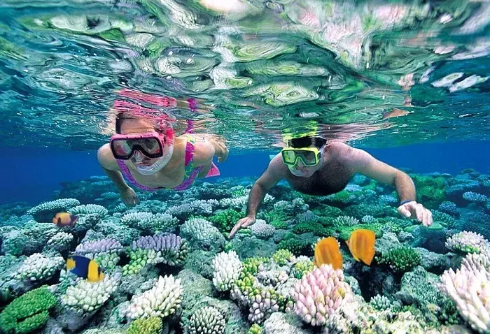 Nha Trang Island Discovery and Snorkeling Day Tour