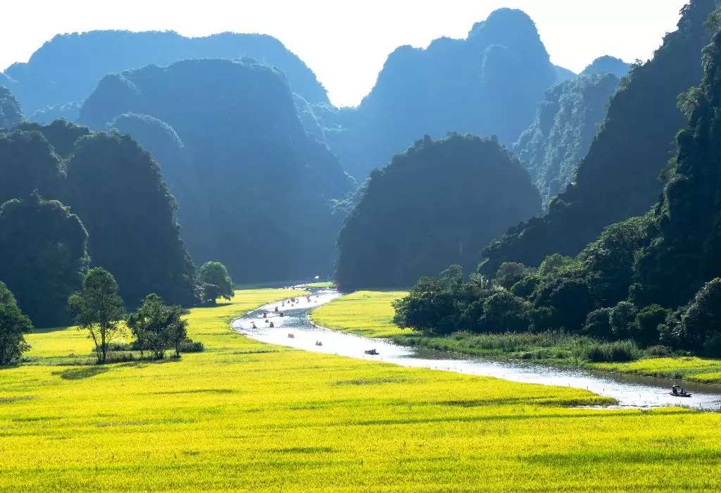 Amazing Hoa Lu – Tam Coc full-day tour