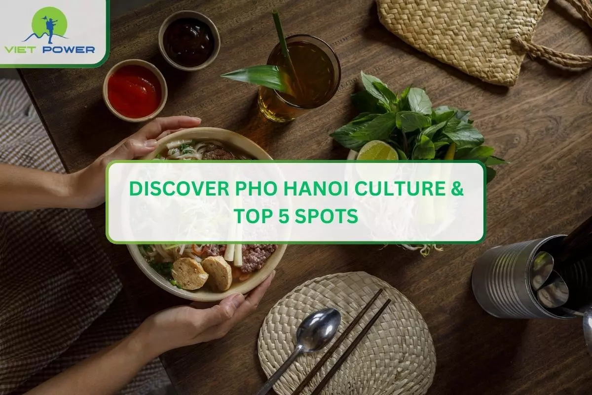 Discover Pho Hanoi Culture & Top 5 Spots