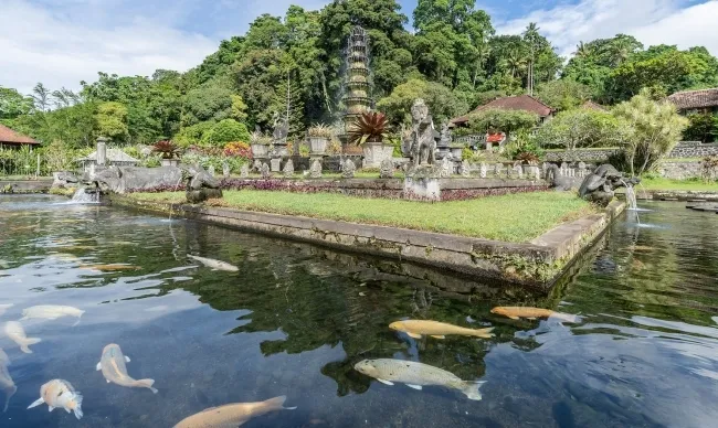 Family tour in Bali