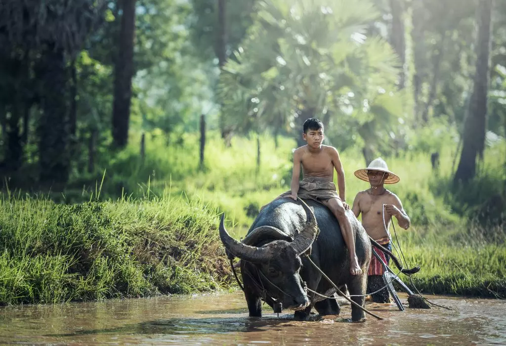 Dive into the heart of Vietnam's colorful tapestry