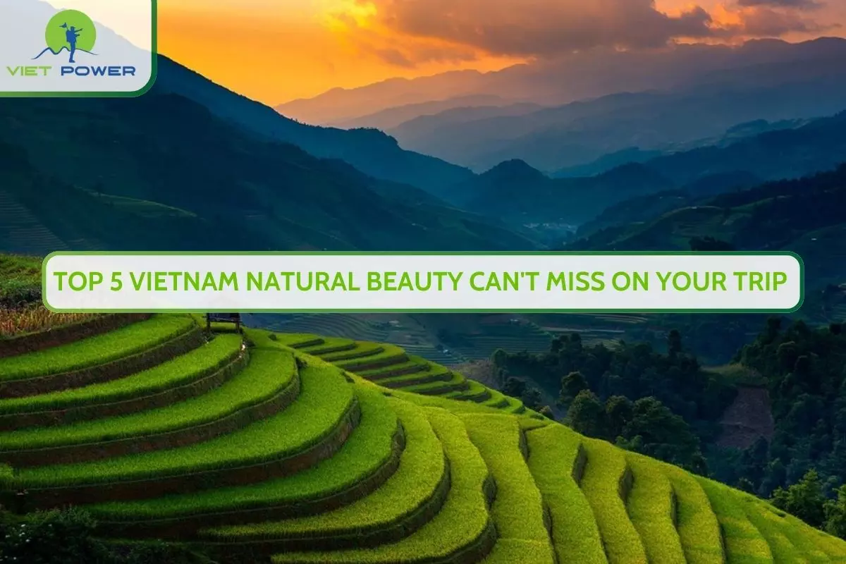 Top 5 Vietnam Natural Beauty Can