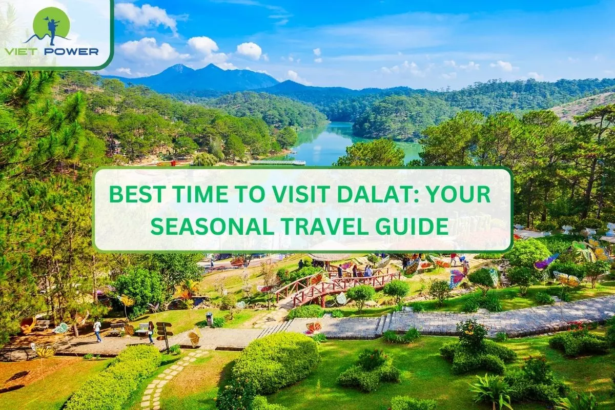 Best Time to Visit Dalat: Your Seasonal Travel Guide