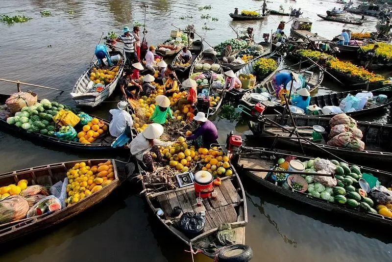 Explore Cai Be floating market and An Binh island