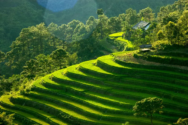 7 days of rest on the Wild Road in Northeast Vietnam