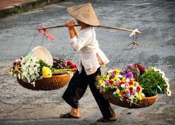 Tranquil Bliss: A Romantic Honeymoon on Vietnam's Coastal Shores