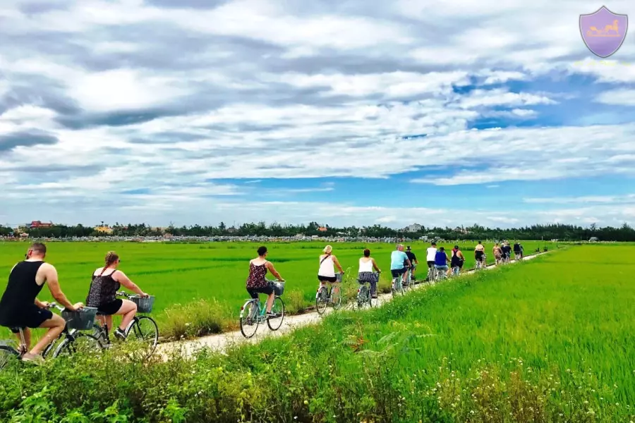 Cycling tour around Hoi An countryside