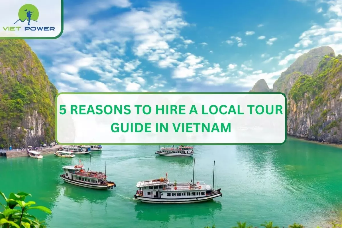 5 Reasons to Hire a Local Tour Guide in Vietnam