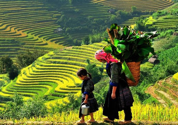 6-day tour of Northern Vietnam