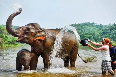 Serene Splendor of Laos