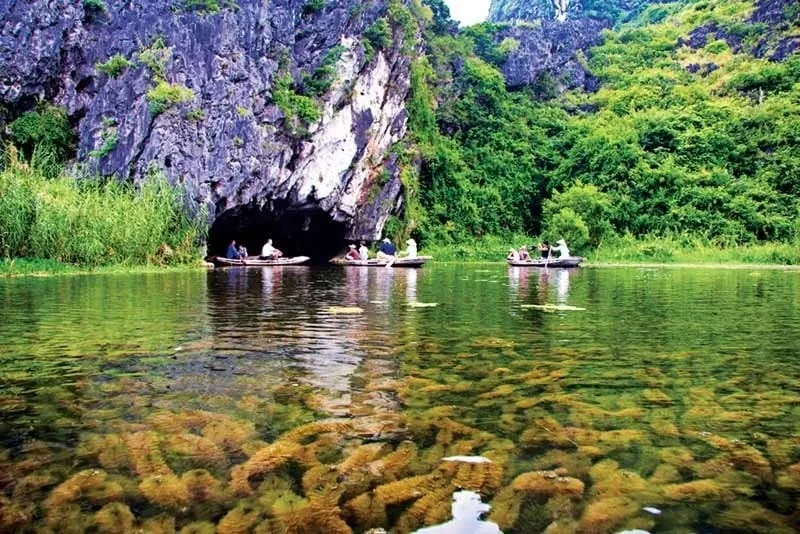 Explore Van Long Nature Reserve Day Tour