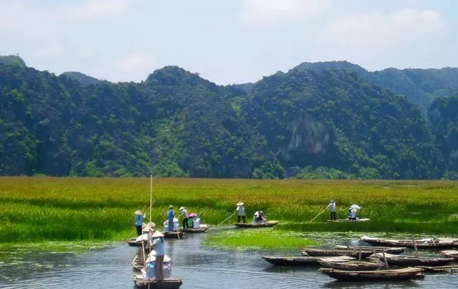 Explore Van Long Nature Reserve Day Tour